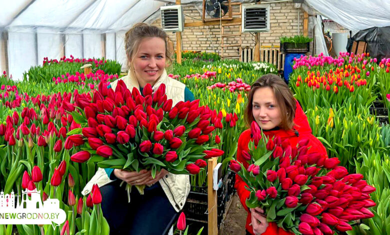 Как гродненцы выращивают цветы