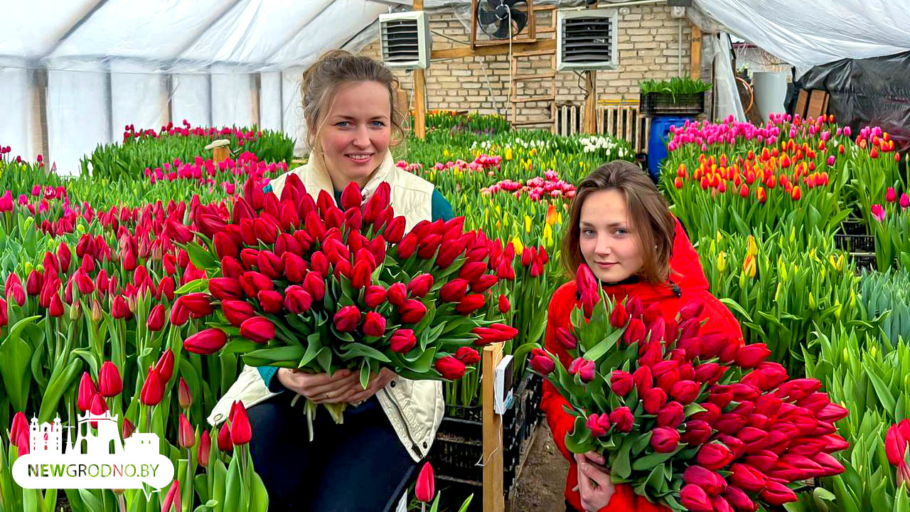 Как гродненцы выращивают цветы