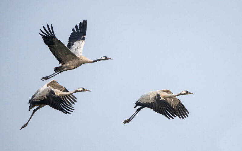 Весна на пороге