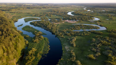 Тайны белорусских рек и озер: