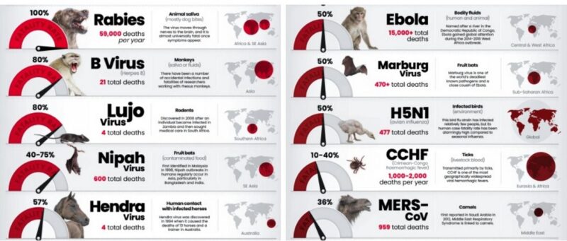 Эксперты назвали 10 самых