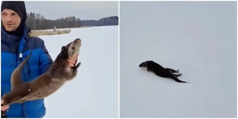 рыбаки под Могилевом