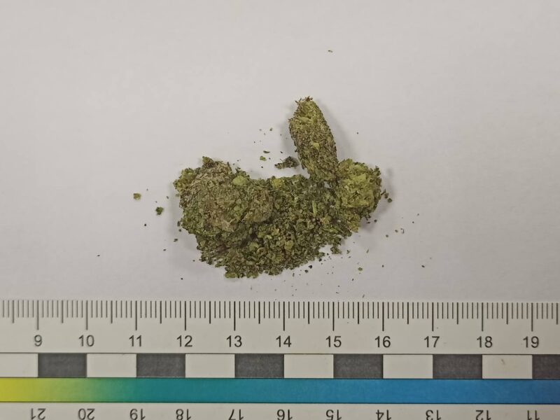 гродненские таможенники задержали наркокурьера