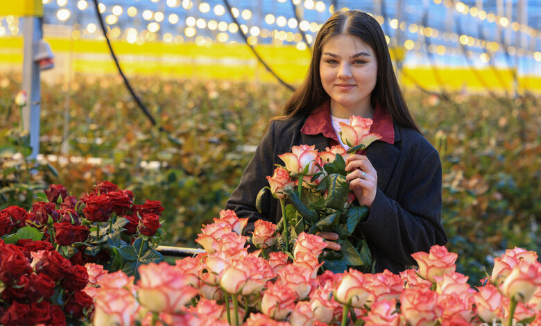 Розы с характером: