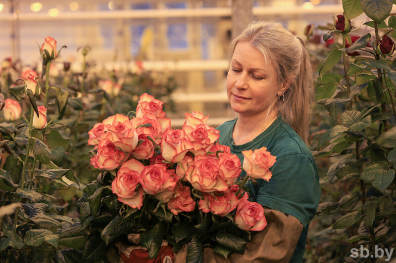 Розы с характером: