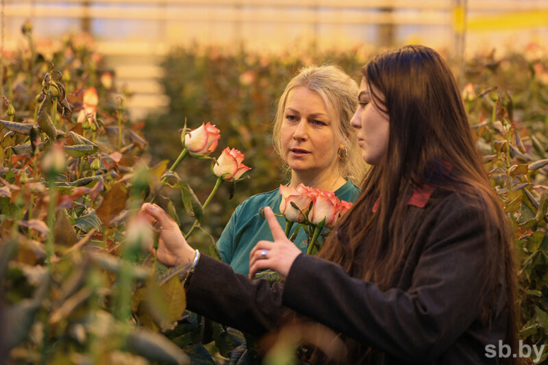 Розы с характером: