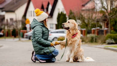Сколько заплатят белорусы