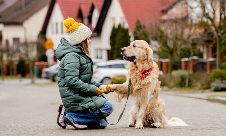 Сколько заплатят белорусы