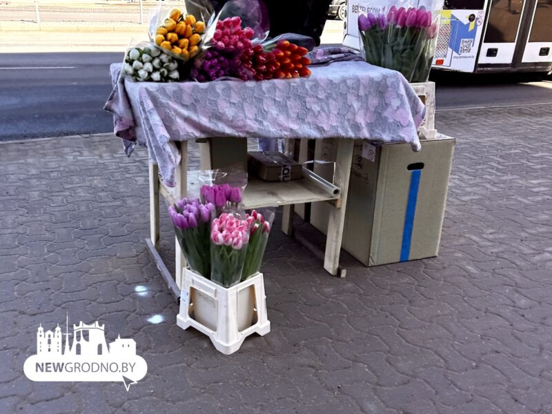 На улицах Гродно появились