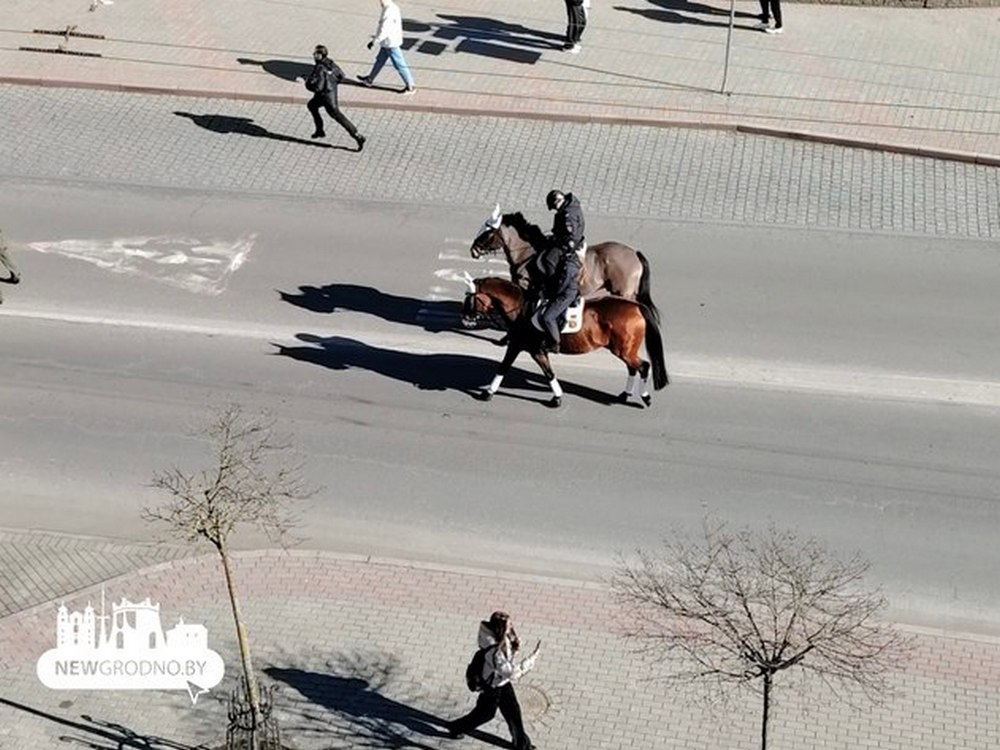 Милиция Гродно прошла парадом по центру города