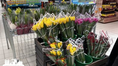 Цены на цветы в магазинах Гродно