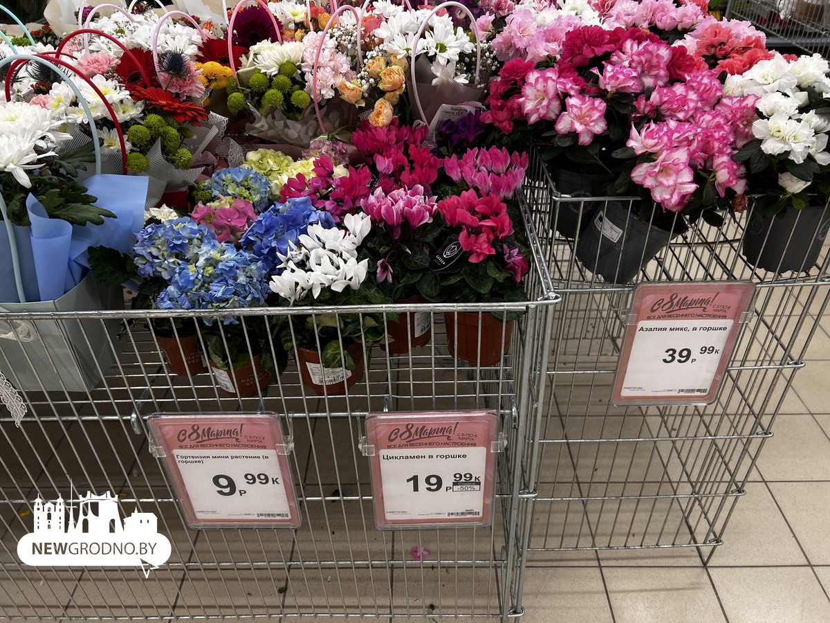 Цены на цветы в магазинах Гродно