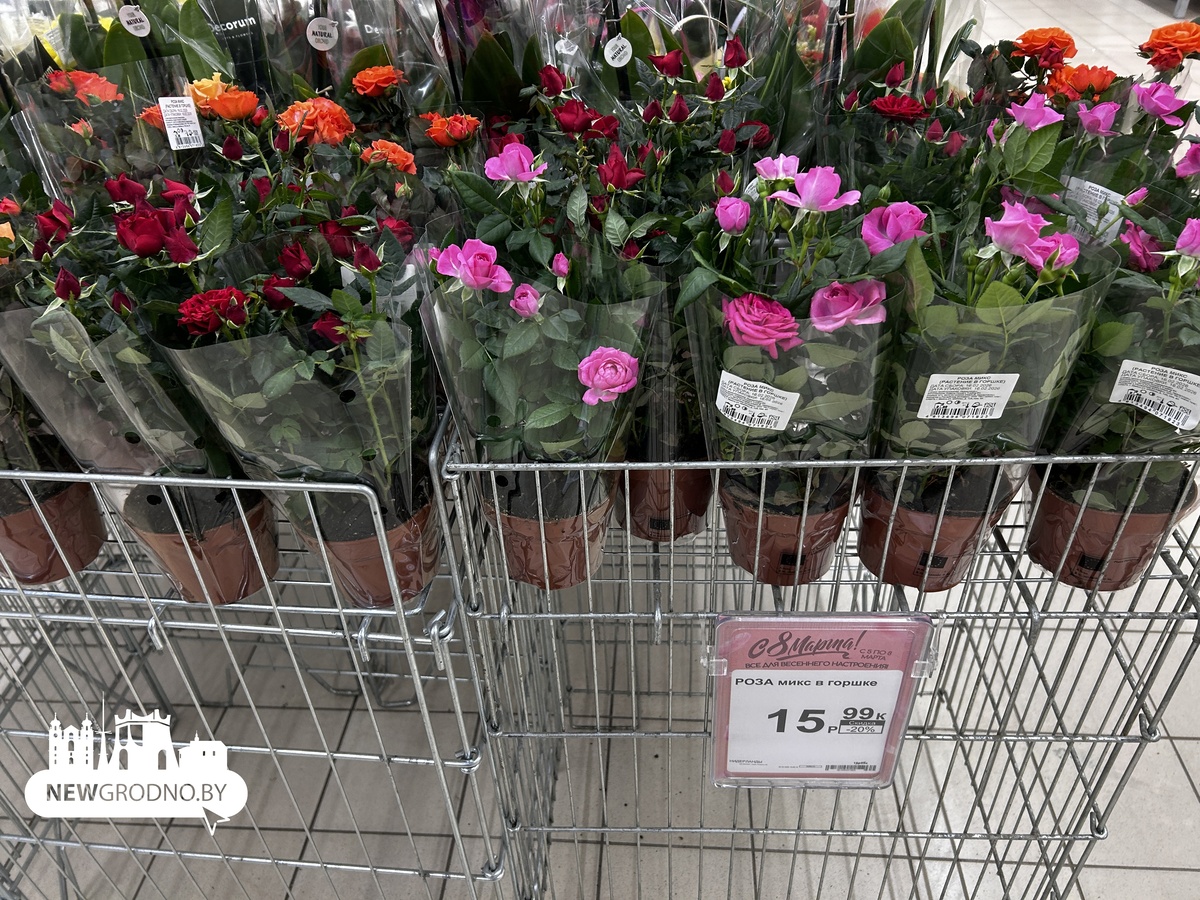 Цены на цветы в магазинах Гродно