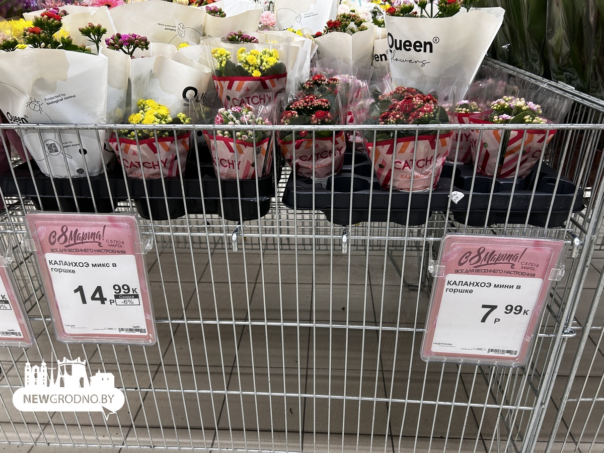 Цены на цветы в магазинах Гродно