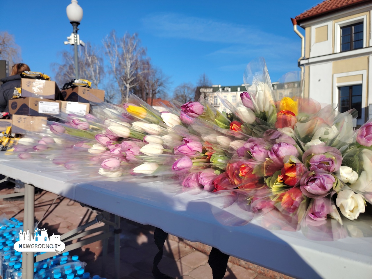 Самый красивый забег года прошел по улицам Гродно