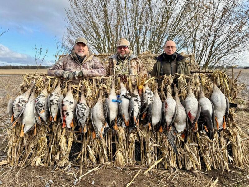 Весенняя охота на гусей