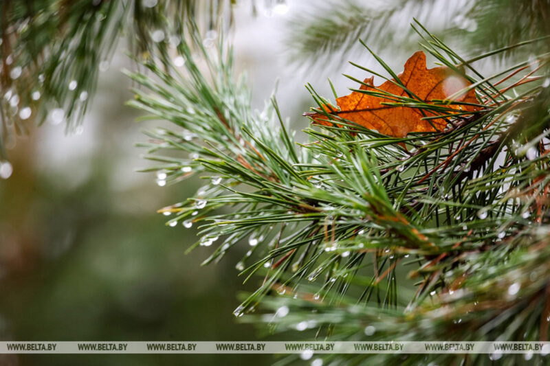 Давайте вспомним какой красивой