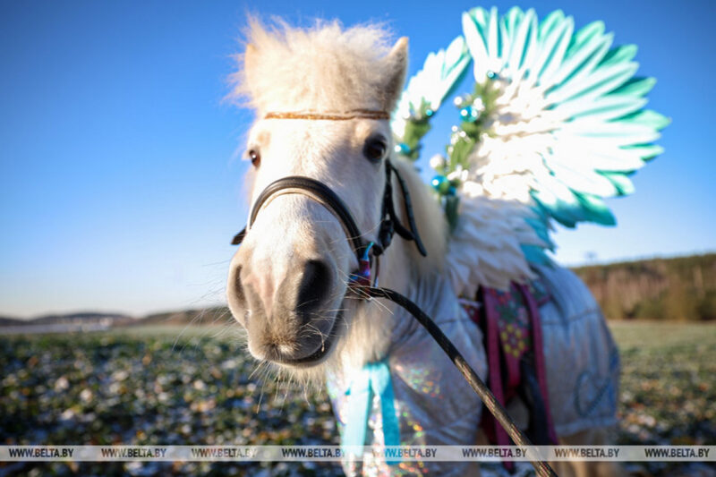 Давайте вспомним какой красивой