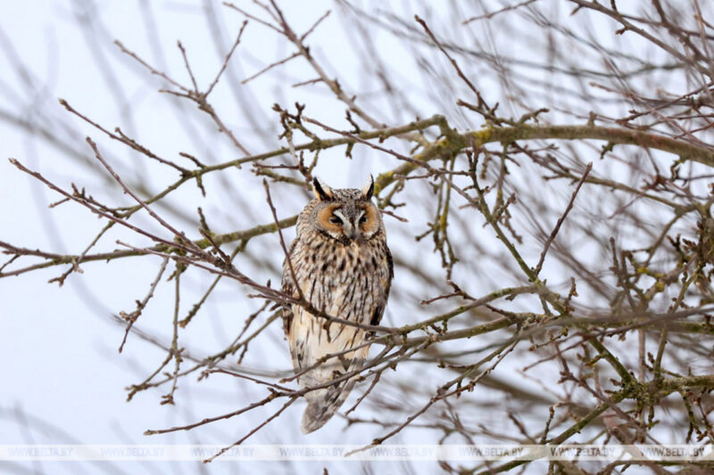 Давайте вспомним какой красивой