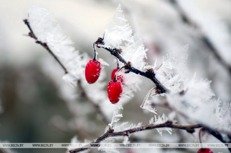 Давайте вспомним какой красивой