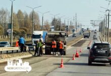 в Гродно начался весенний