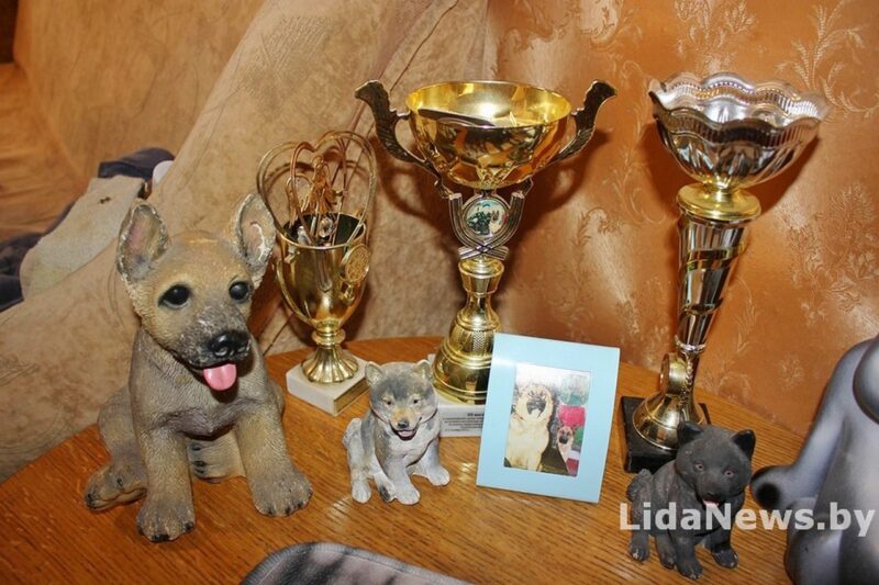 Волчица на границе: история