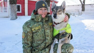 Волчица на границе: история