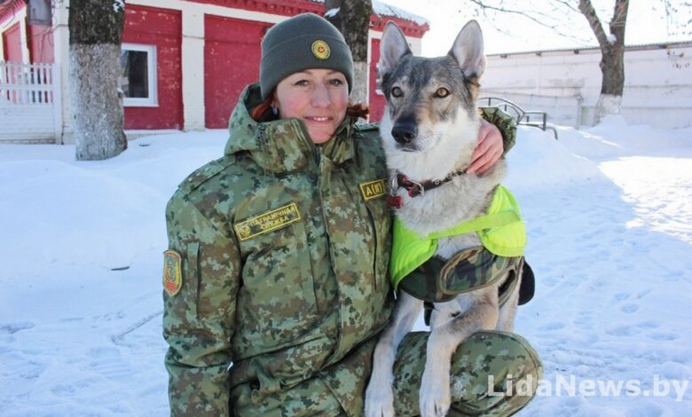 Волчица на границе: история