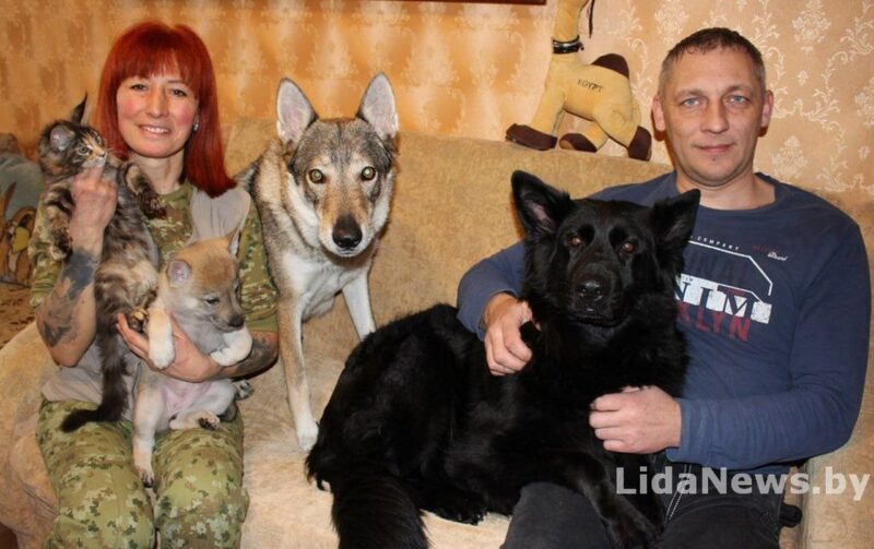 Волчица на границе: история