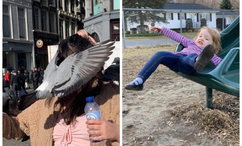 20 смешных и нелепых