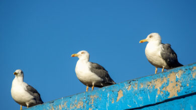 Жильцам дома в Гродно ответили