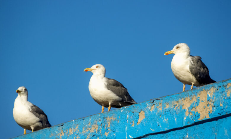Жильцам дома в Гродно ответили