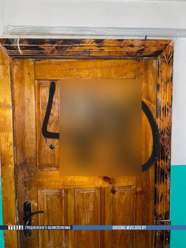 двое гродненцев разрисовали