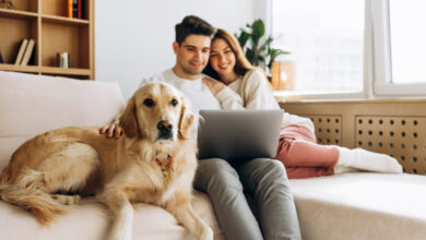 Имеют ли соседи право запретить