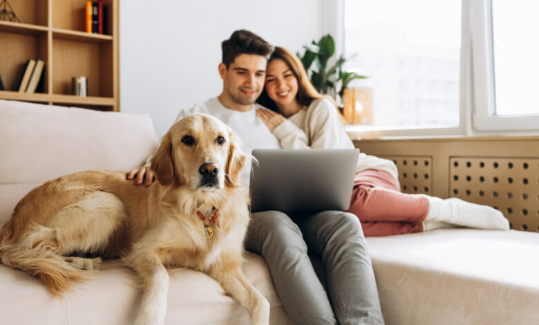 Имеют ли соседи право запретить