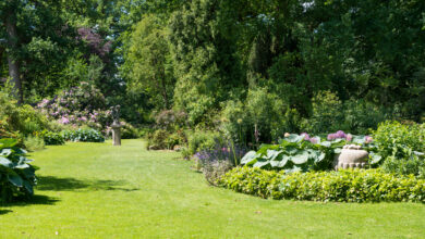 Идеальный газон: почему требует