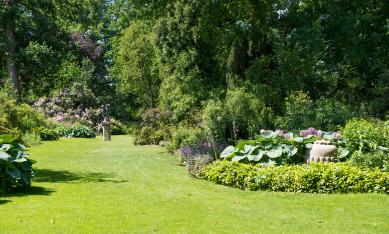 Идеальный газон: почему требует