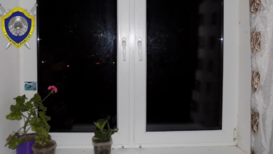 В Кобрине трехлетняя девочка