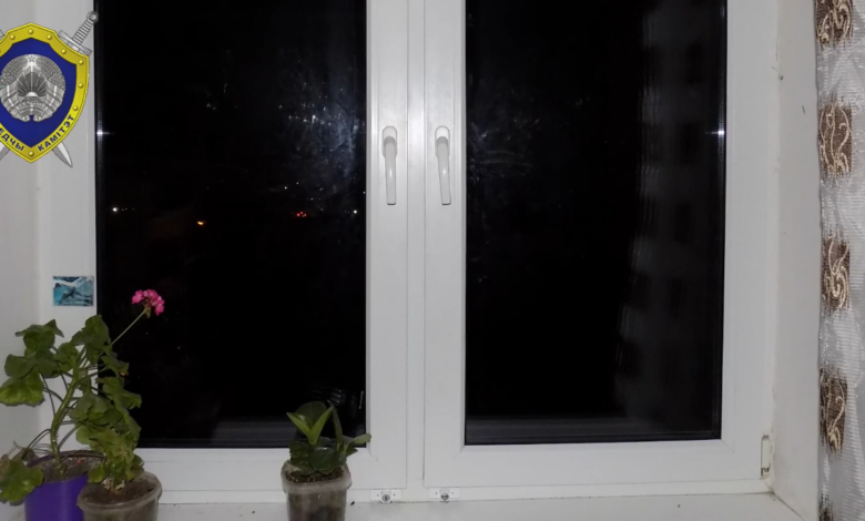 В Кобрине трехлетняя девочка