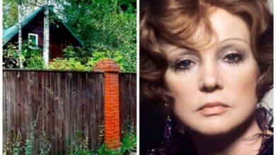 что превратилось