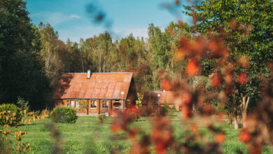 Всплеск агротуризма в Беларуси: