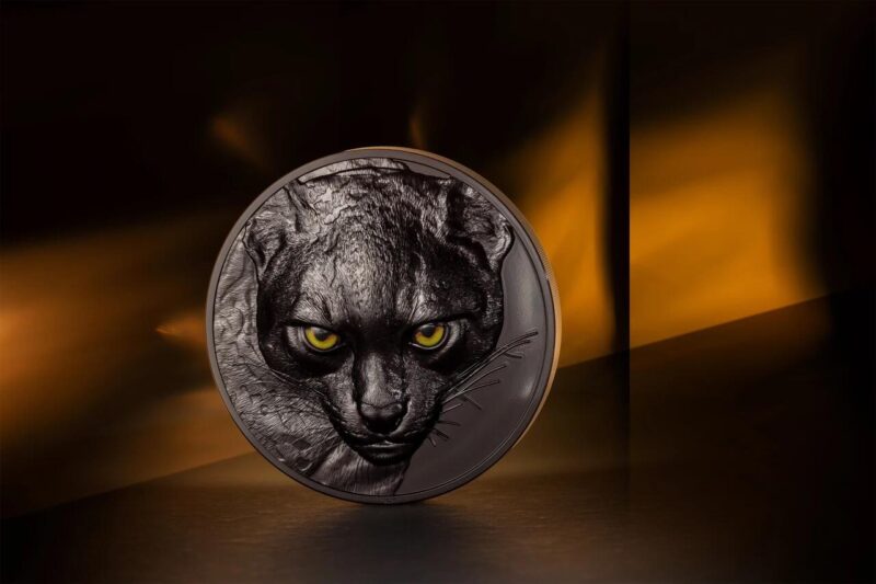 Топ монет весом в килограмм