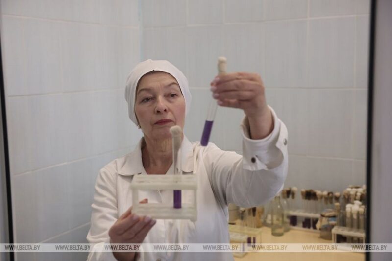 Тайна могилевского пломбира: