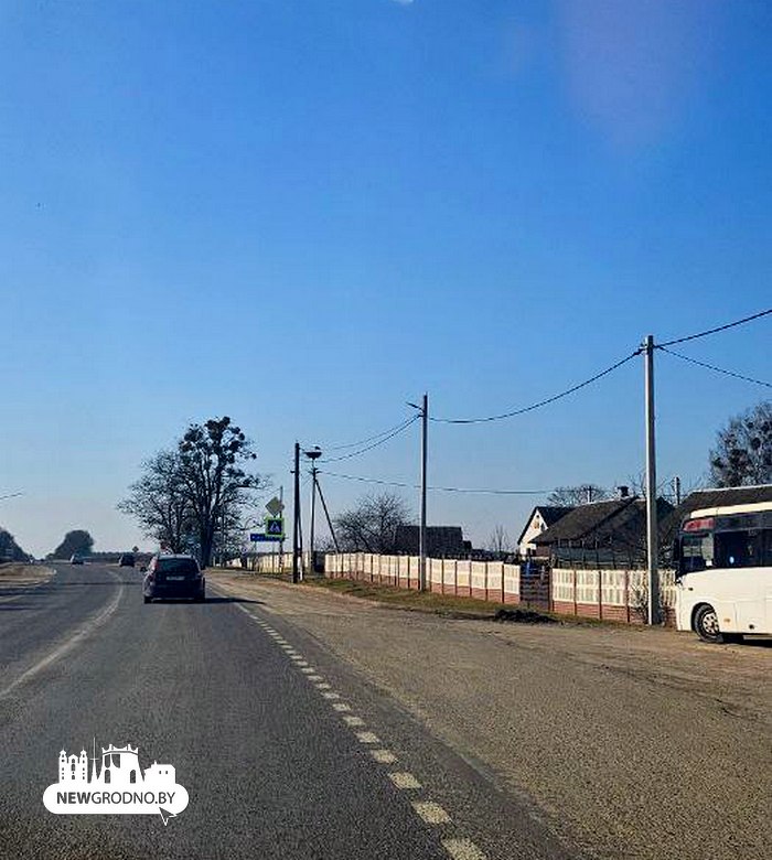 Под Гродно заметили первого аиста