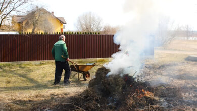 Штрафы за пал травы в Беларуси: