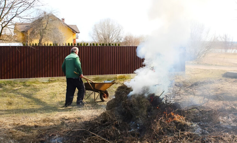 Штрафы за пал травы в Беларуси: