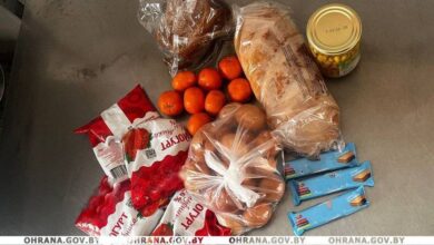 охрана задержала похитителей продуктов