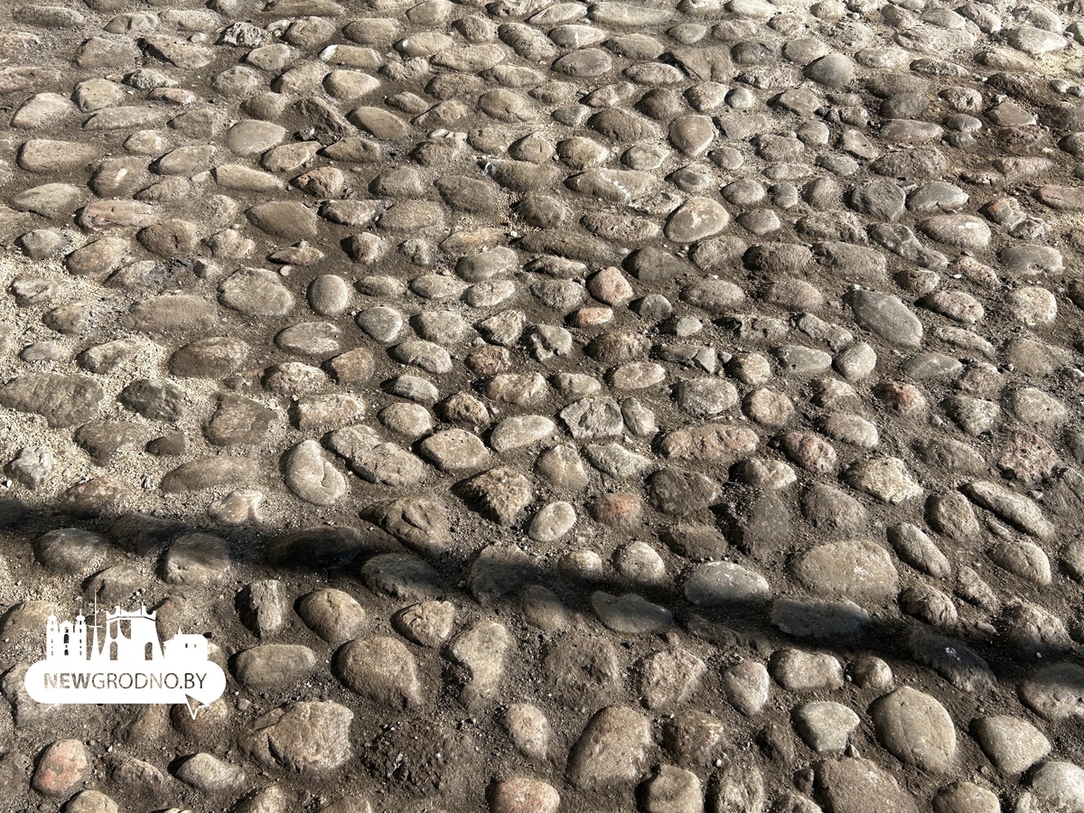 У Нового замка в Гродно нашли