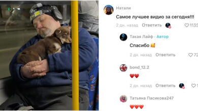 умиляющее видео