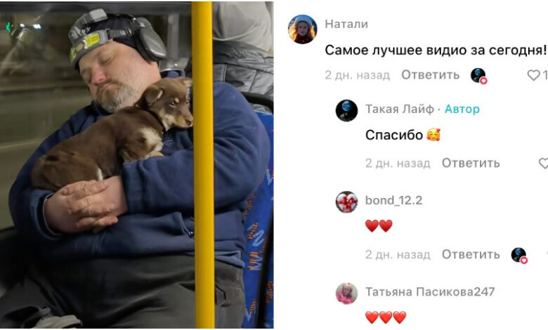 умиляющее видео